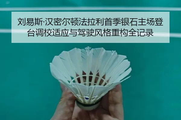 liu-yi-si-han-mi-er-dun-fa-la-li-shou-ji-yin-shi-zhu-chang-deng-tai-diao-xiao-shi-ying-yu-jia-shi-feng-ge-zhong-gou-2-778.jpg